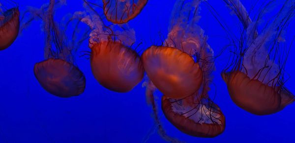 Willingness to look stupid is a genuine moat in creative work